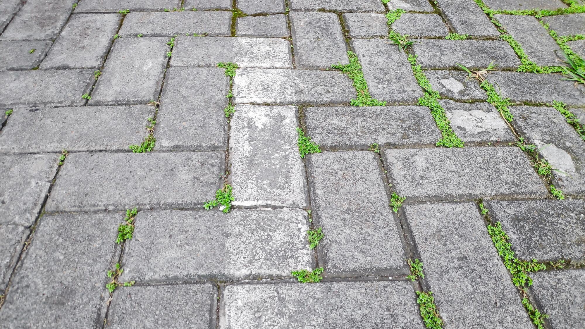 A concrete block walway before being powerwashed and sealed by the experts at Chagrin Home Improvements